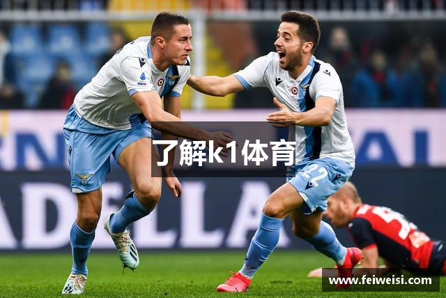 了解k1体育